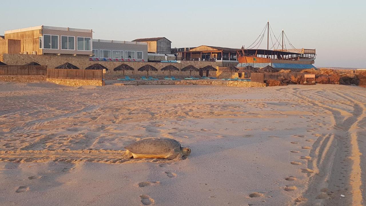 Turtle Beach Resort Ras al Hadd Esterno foto