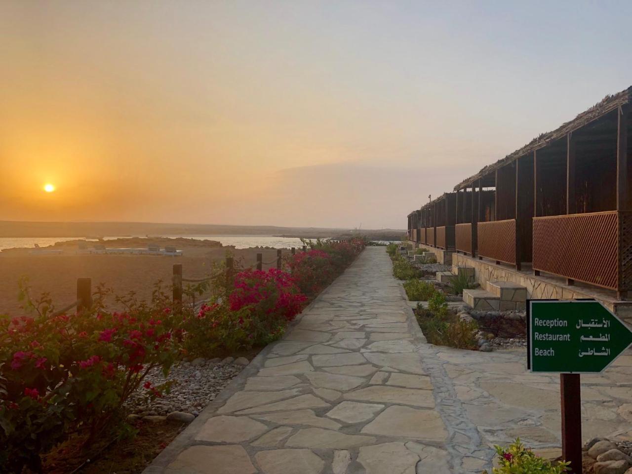 Turtle Beach Resort Ras al Hadd Esterno foto