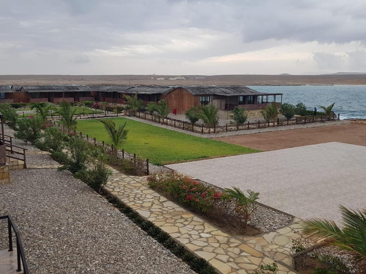 Turtle Beach Resort Ras al Hadd Esterno foto